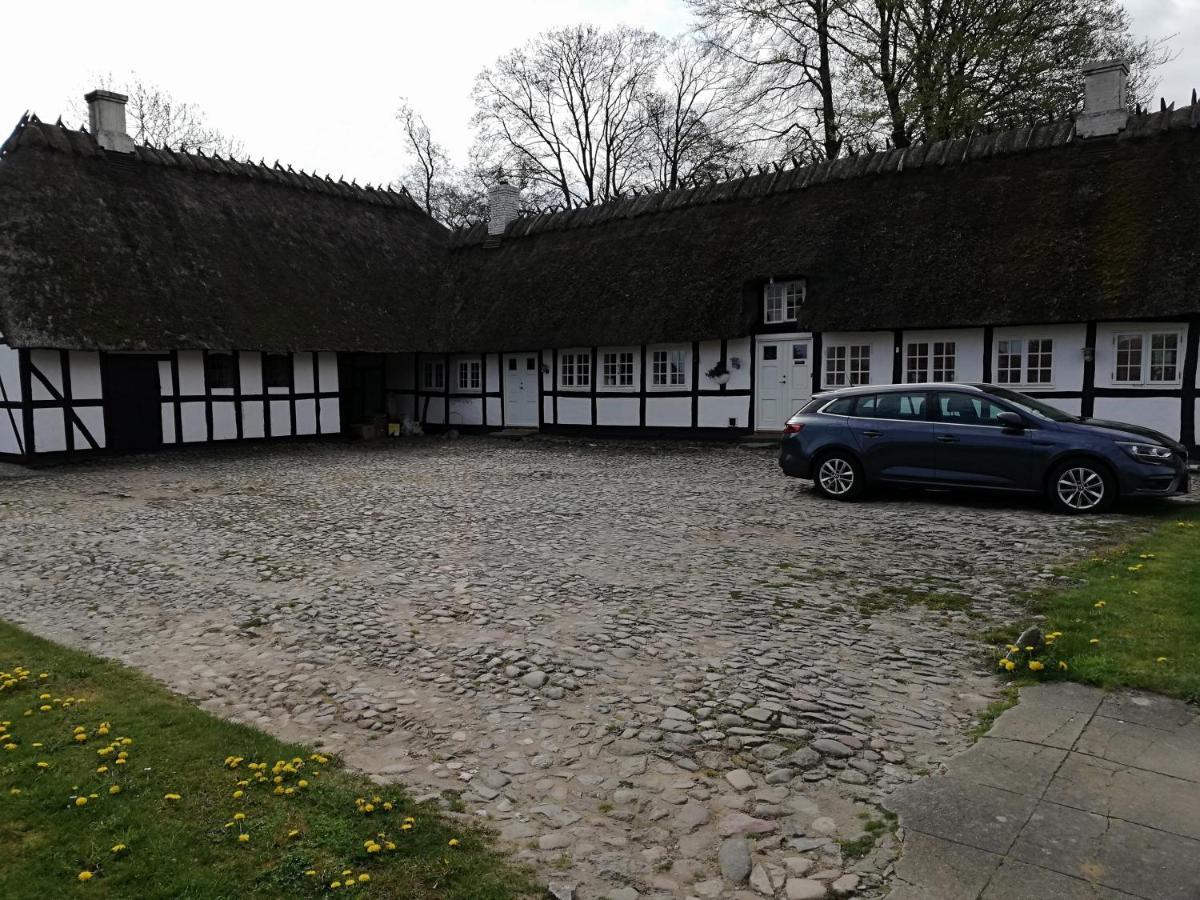 Baekgaarden B&B Lyndelse Extérieur photo