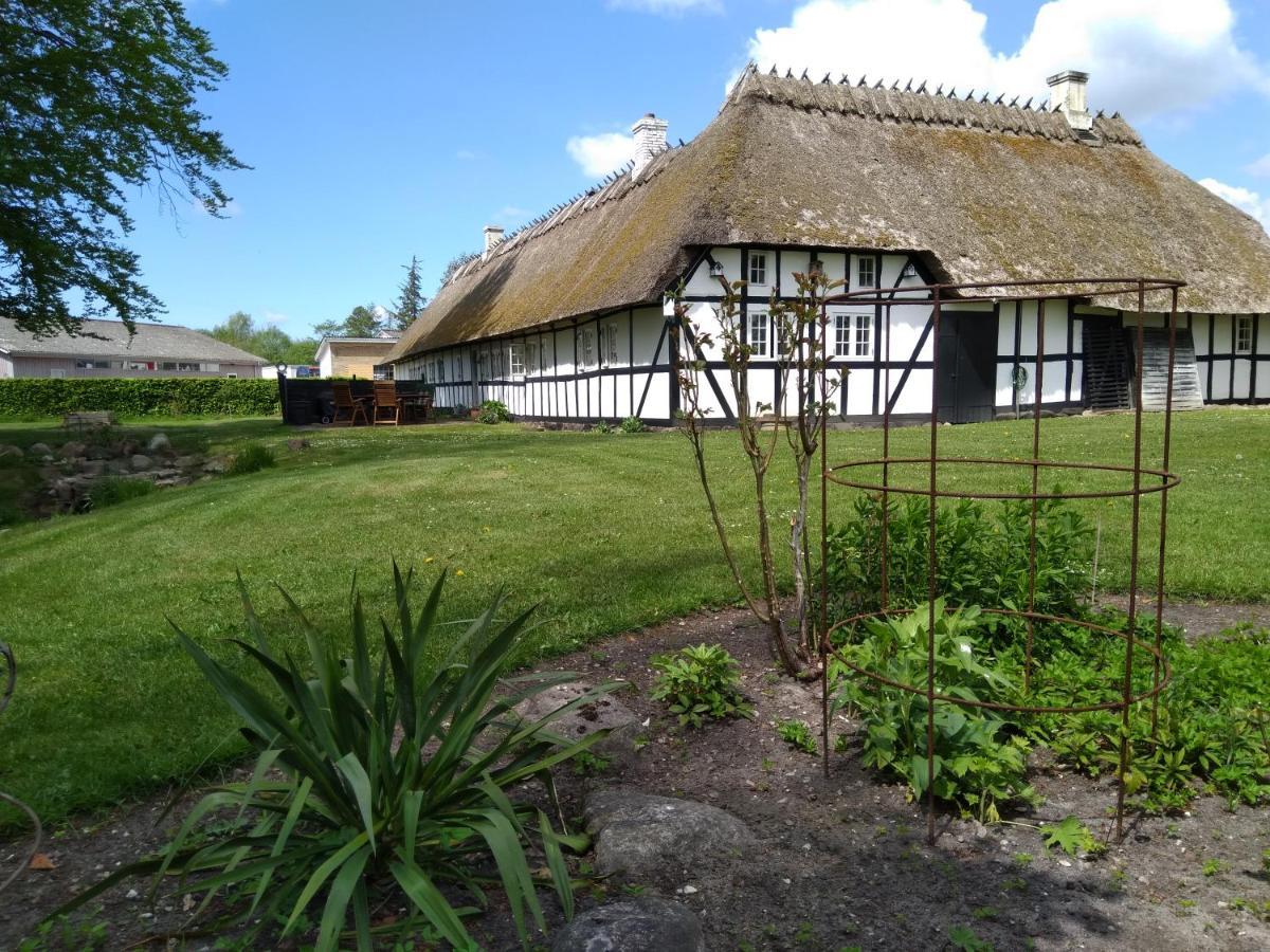 Baekgaarden B&B Lyndelse Extérieur photo